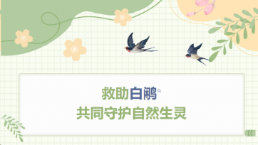 救助白鹇，共同守护天然生灵